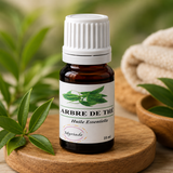 HE Arbre de thé