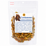 Cardamome