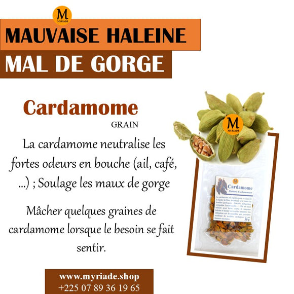 Cardamome