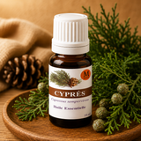 HE Cyprès