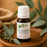 HE d'Eucalyptus