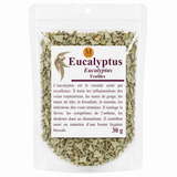 Eucalyptus