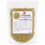 Fenouil