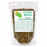 Ginkgo Biloba