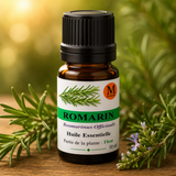 HE Romarin