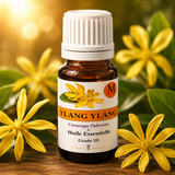 HE Ylang Ylang
