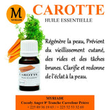 HE Carotte