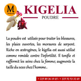 Kigelia - Poudre