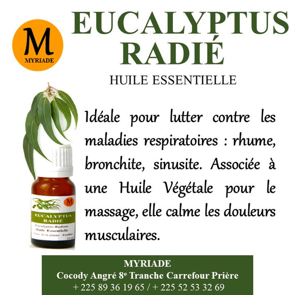 HE d'Eucalytus radié