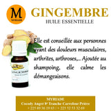 HE Gingembre