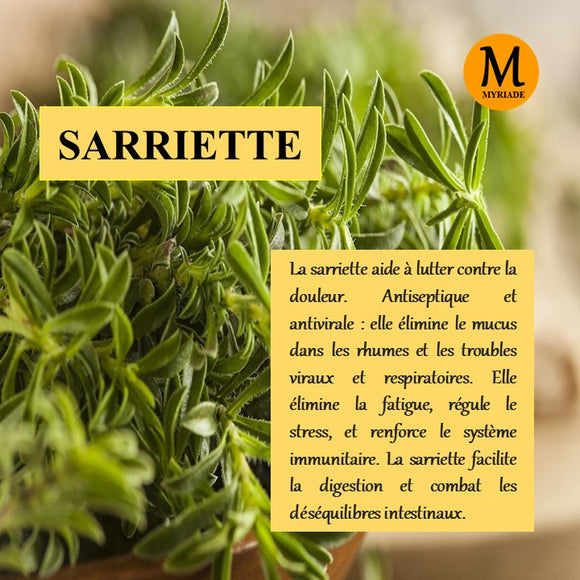 Sarriette